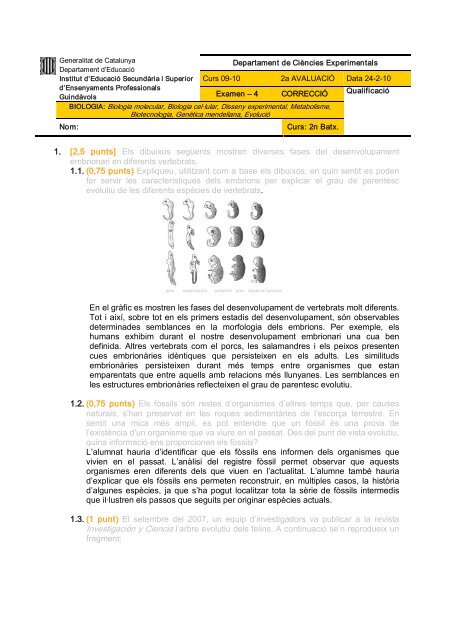 Biologia 2n Batx 09-10 examen 4 - Institut Guindàvols