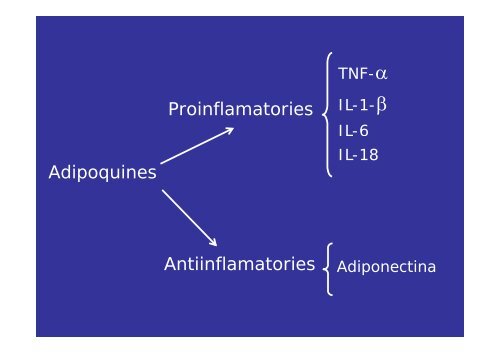 FISIOPATOLOGIA de la DIABETIS MELLITUS TIPUS 2