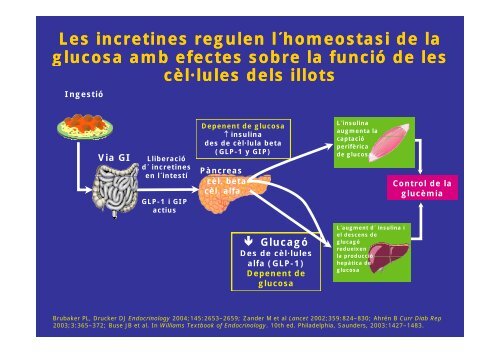 FISIOPATOLOGIA de la DIABETIS MELLITUS TIPUS 2