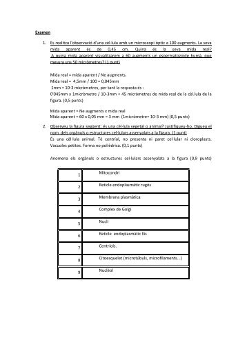 Examen 1. Es realitza l'observació d'una cèl·lula amb ... - cienciessek