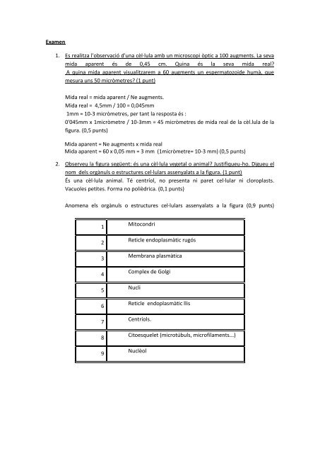 Examen 1. Es realitza l'observació d'una cèl·lula amb ... - cienciessek