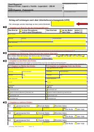 Symbol für eine PDF-Dateiausfüllbarer UVG-Antrag - Stadt Wuppertal