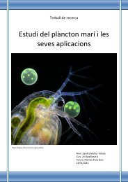 Treball de recerca-Plàncton