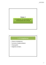 TEMA 7 (T8 llibre) Citosol i estructures no membranoses