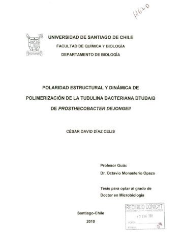 DIAZ_CESAR_1167D.pdf