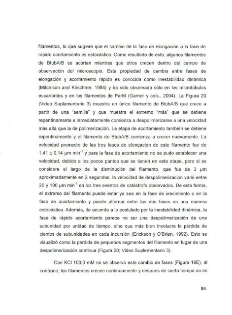 DIAZ_CESAR_1167D.pdf