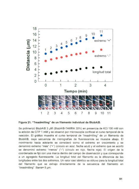 DIAZ_CESAR_1167D.pdf