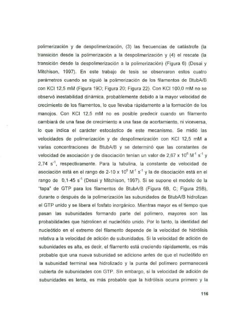 DIAZ_CESAR_1167D.pdf