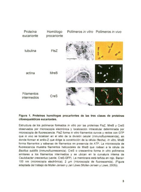 DIAZ_CESAR_1167D.pdf