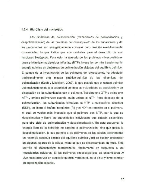 DIAZ_CESAR_1167D.pdf