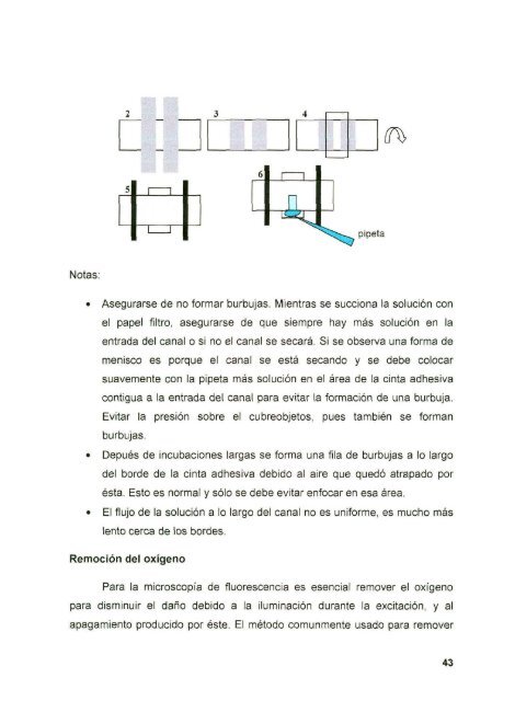 DIAZ_CESAR_1167D.pdf