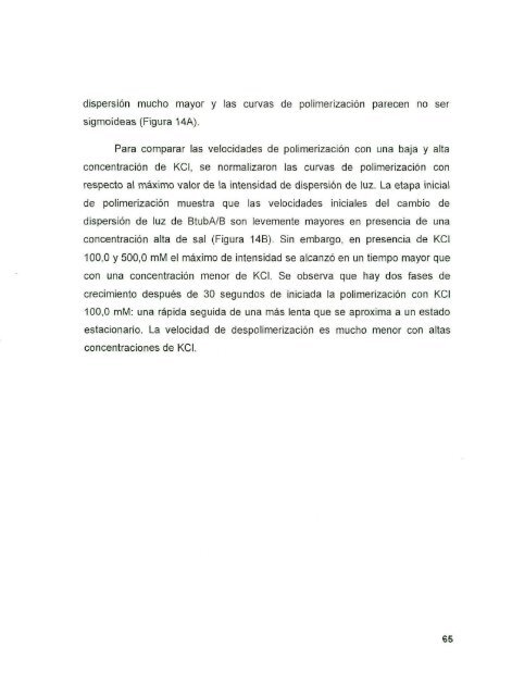 DIAZ_CESAR_1167D.pdf