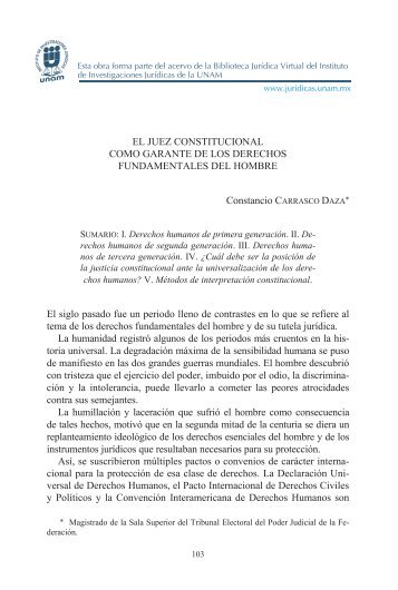 El juez constitucional como garante de los derechos fundamentales ...