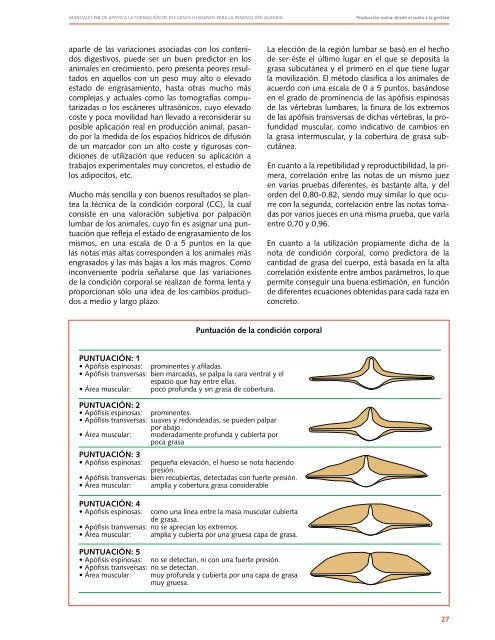 A. Producción ovina - Repositorio Digital Redagrochile