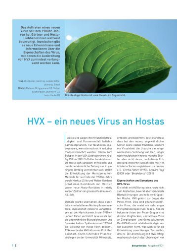 HVX â ein neues Virus an Hostas - Gesellschaft der Staudenfreunde