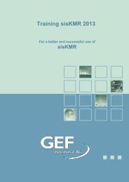 Download sisKMR Training 2013 - GEF Ingenieur AG