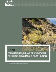 Formaciones bajas de Euphorbia pythyusa próximas a acantilados