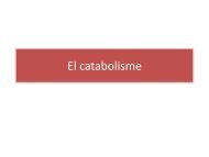 El catabolisme