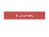 El catabolisme