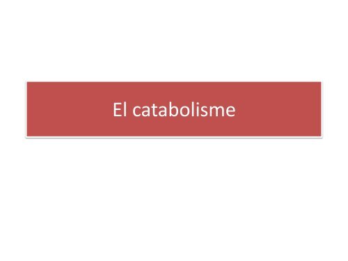 El catabolisme