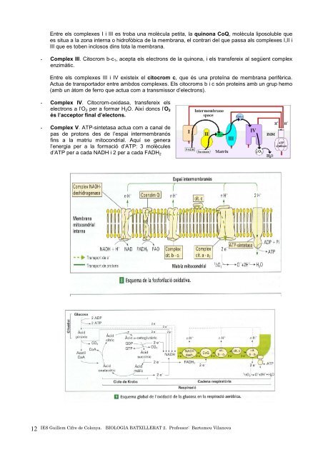 apunts 17 - IES Guillem Cifre de Colonya