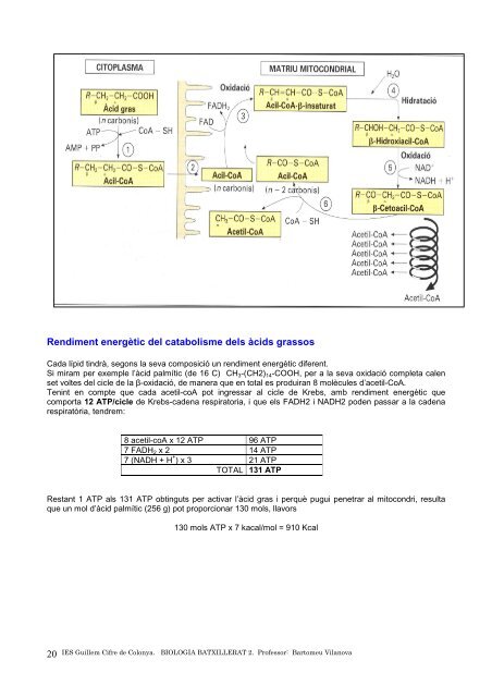 apunts 17 - IES Guillem Cifre de Colonya