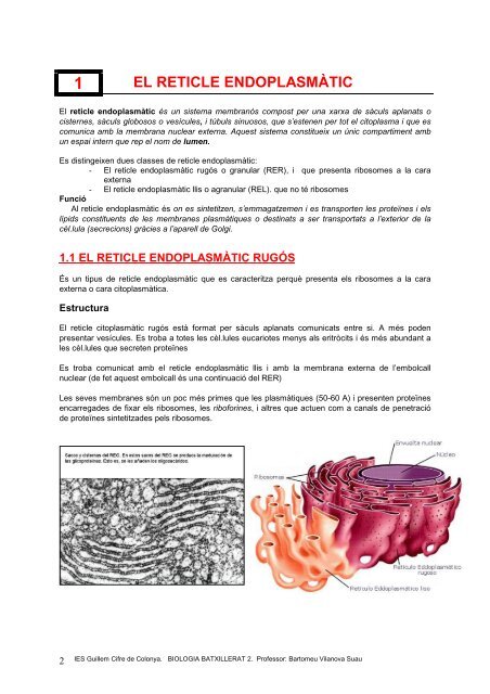 apunts 9 - IES Guillem Cifre de Colonya