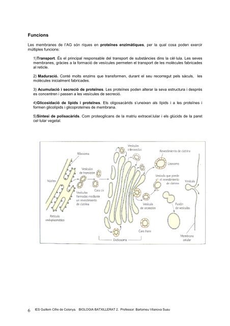 apunts 9 - IES Guillem Cifre de Colonya