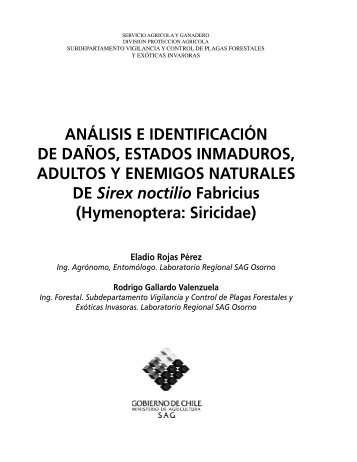 Análisis e identificación de daños, estados inmaduros y