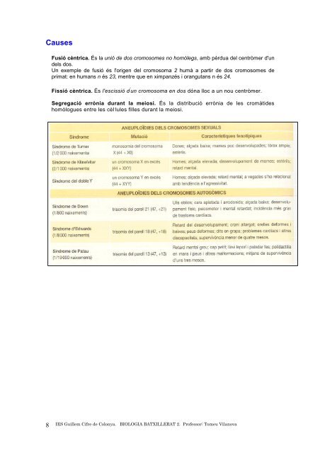 apunts 14 - IES Guillem Cifre de Colonya