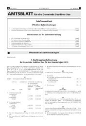 AMTSBLATT für die Gemeinde Seddiner See