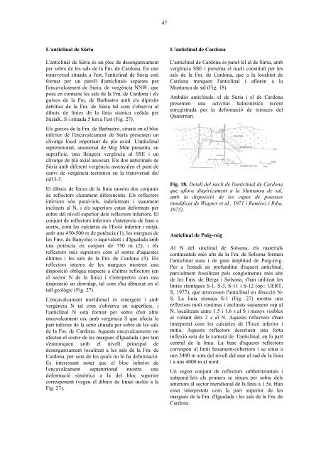 Estudi geològic del vessant sud del Pirineu oriental i central ...