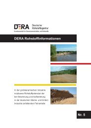 DERA Rohstoffinformationen 5 - Deutsche Rohstoffagentur