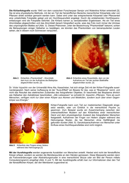 Unsichtbare feinstoffliche Koerper - Biofeld-Regulator