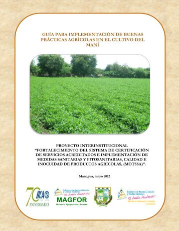 Guía para la implementación de Buenas Prácticas Agrícolas ... - IICA