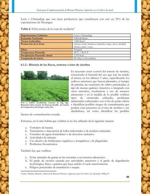 Guía para la implementación de Buenas Prácticas Agrícolas ... - IICA