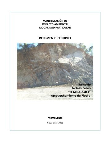 RESUMEN EJECUTIVO “EL MIRADOR 1” - sinat - Semarnat