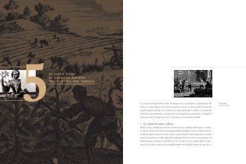 CERVEZA CAPITULO 01