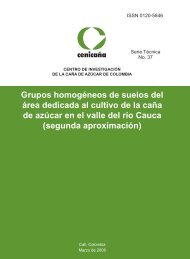 Grupos homogéneos de suelos del área dedicada al cultivo de la ...