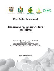 PFN Tolima - Asohofrucol