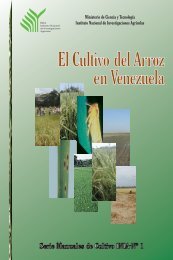El Cultivo del Arroz en Venezuela - Portal de Publicaciones ...