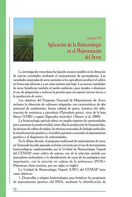 El Cultivo del Arroz en Venezuela - Portal de Publicaciones ...