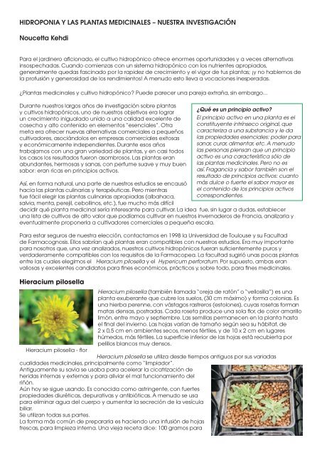hidroponia y las plantas medicinales - General Hydroponics Europe