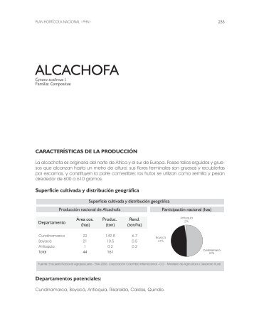 ALCACHOFA - CCI