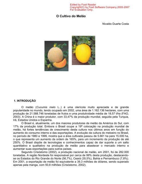 O cultivo do melão - HortiBrasil