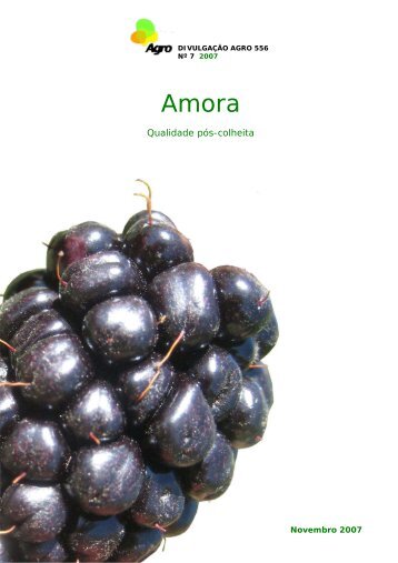 Amora – Qualidade pós-colheita - INRB