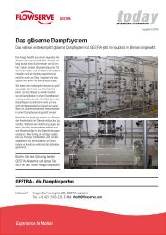 Das gläserne Dampfsystem