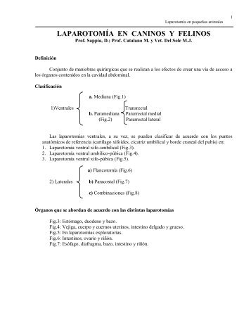 Laparotomía en caninos y felinos (JTP Dra. Del Sole María ... - Unicen