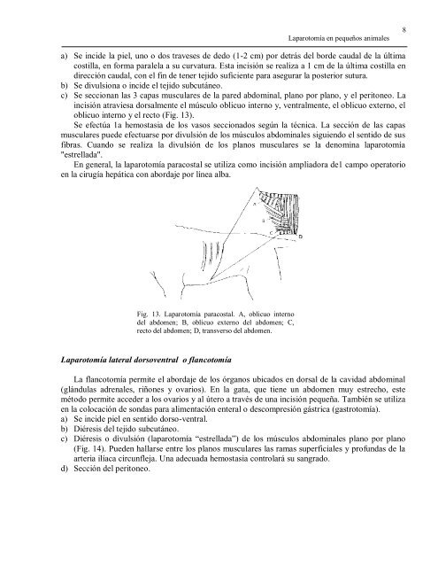 Laparotomía en caninos y felinos (JTP Dra. Del Sole María ... - Unicen