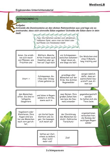 Schimpansen Ergänzendes Unterrichtsmaterial AFF EN DOM ... - GEW